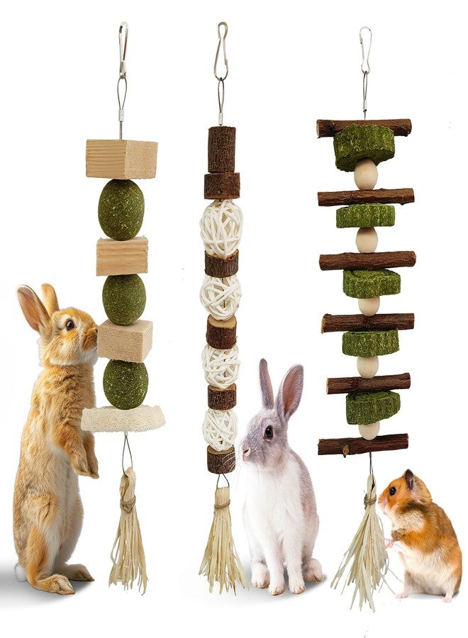 WDEFUN 3 PCS Bunny Chew Toys, Natural Hanging Rabbit Chew Toy Treats for Guinea Pigs Hamsters Gerbils Chinchilla and Other Small Pets for Teeth Grinding - Image 1
